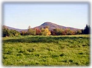 200 acres of x-country ski trails in winter outside the back door.