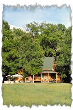 Log cabin back view