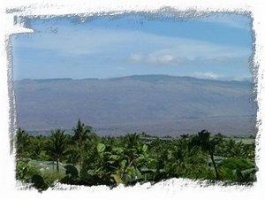 View of Kohala range