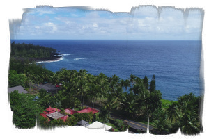 Aerial view of Bali Cottage Hawaii