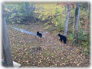 Enjoying A Little R & R In The Hammock {Photo Sent From Another Delighted Guest}